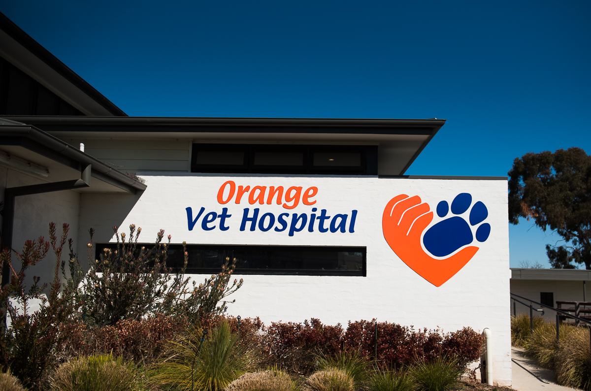Orange Veterinary Hospital
